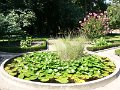 Budapesti fuveszkert parkja-3